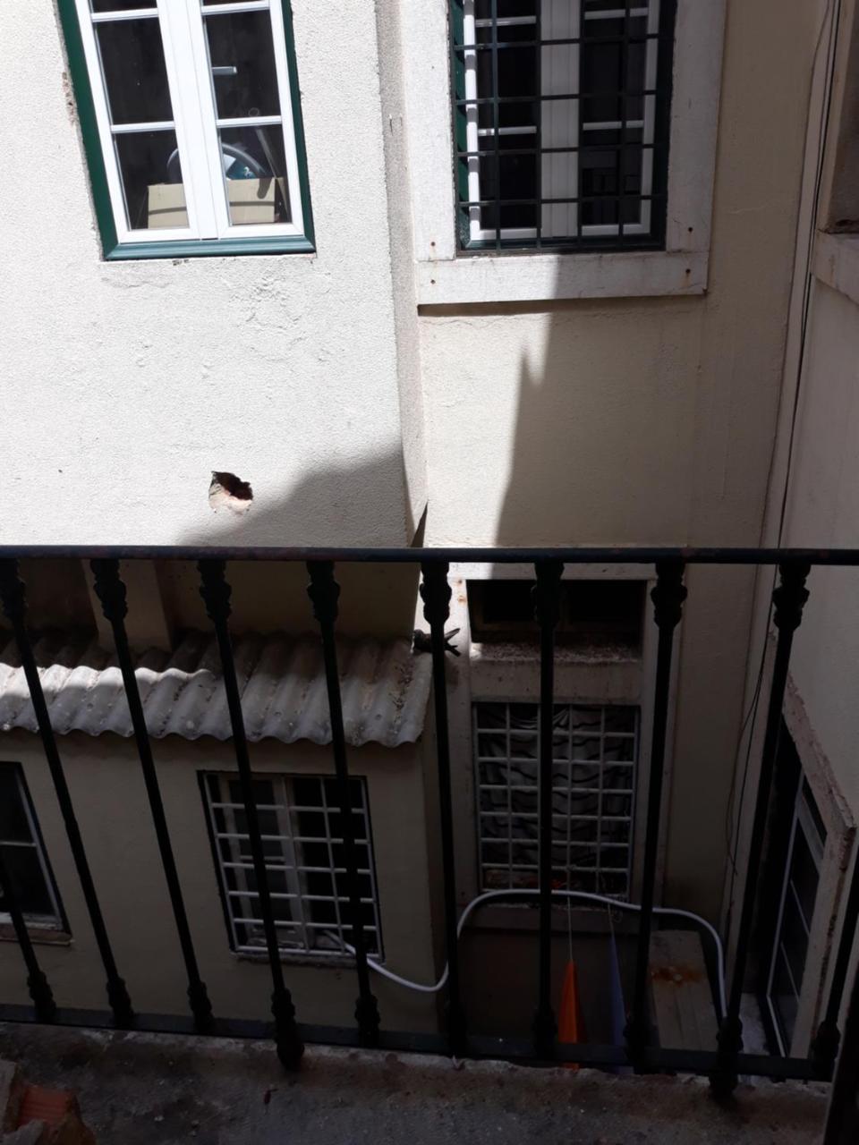Lisbon Design Hostel Eksteriør bilde